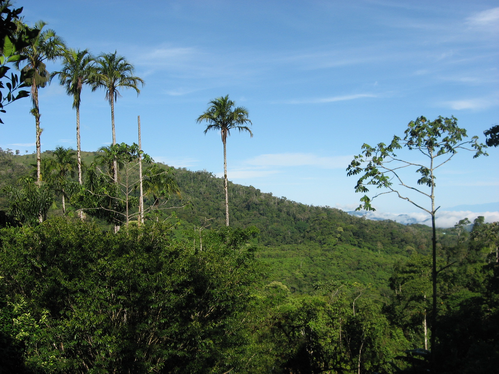 Terrestrial Ecology