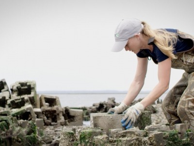 Department work on coastal erosion