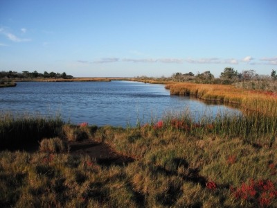 Coastal Science Charter 