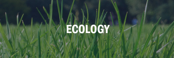 Ecology Link