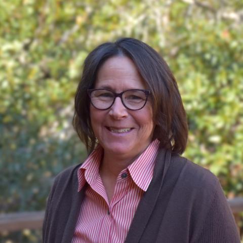 Donna Fauber Headshot