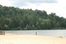 A sandy beach with next to a lake with a hill covered in green trees behind.